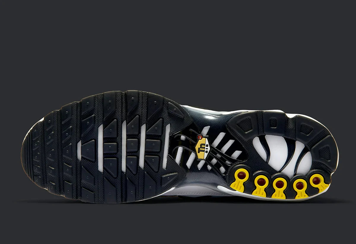 Air Max Plus TN Grey Shadow